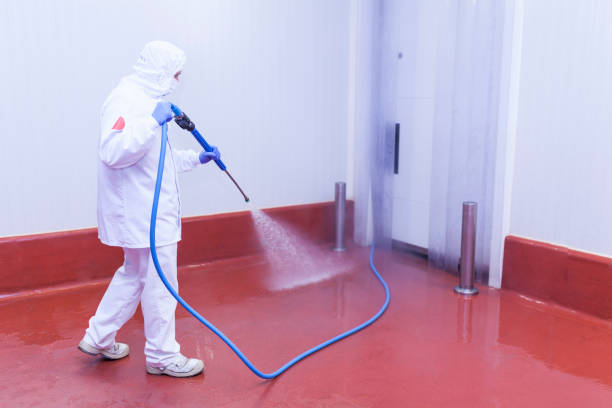 Best House Exterior Washing  in Walkersville, MD